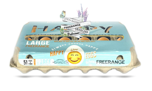 Happy 18-pack free range eggs